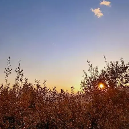 Μεζονέτα 5 υπνοδωμάτια, πλήρως εξοπλισμένη και με φορτιστή ηλεκτρικού αυτοκινήτου Villa Arfara