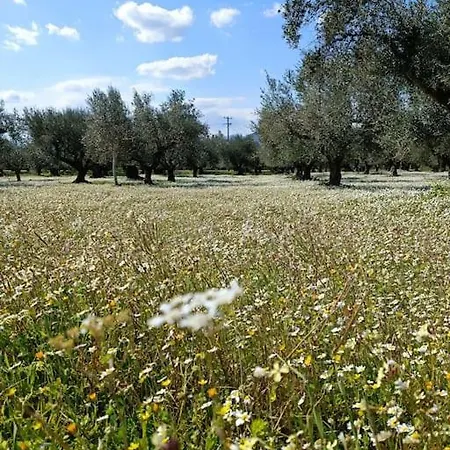 Βίλα μεζονέτα 5 υπνοδωμάτια, πλήρως εξοπλισμένη και με φορτιστή ηλεκτρικού αυτοκινήτου