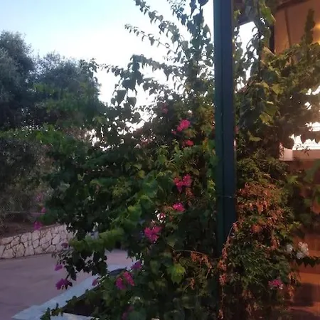 μεζονέτα 5 υπνοδωμάτια, πλήρως εξοπλισμένη και με φορτιστή ηλεκτρικού αυτοκινήτου Βίλα *