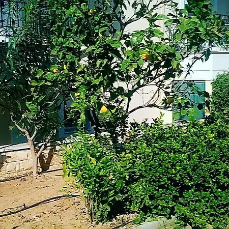 μεζονέτα 5 υπνοδωμάτια, πλήρως εξοπλισμένη και με φορτιστή ηλεκτρικού αυτοκινήτου Arfara