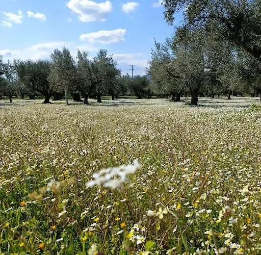 Villa Μεζονέτα 5 Υπνοδωμάτια, Πλήρως Εξοπλισμένη Και Με Φορτιστή Ηλεκτρικού Αυτοκινήτου