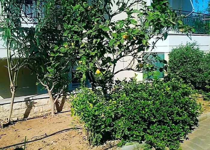 Μεζονέτα 5 Υπνοδωμάτια, Πλήρως Εξοπλισμένη Και Με Φορτιστή Ηλεκτρικού Αυτοκινήτου Arfara